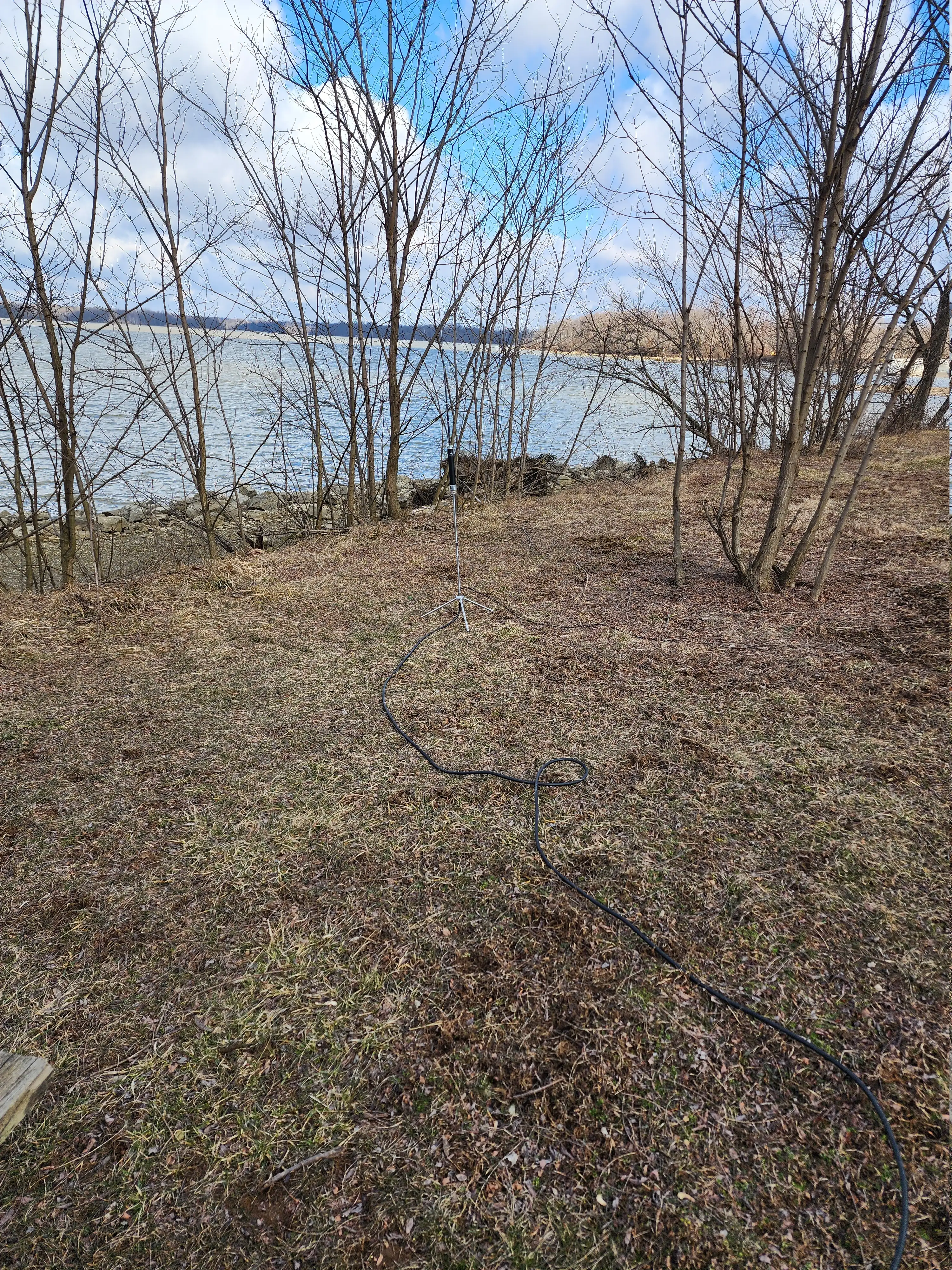 2025-03-08 My MP1DXTR80 antenna set up on the grass 2025-03-08 My MP1DXTR80 antenna set up on the grass