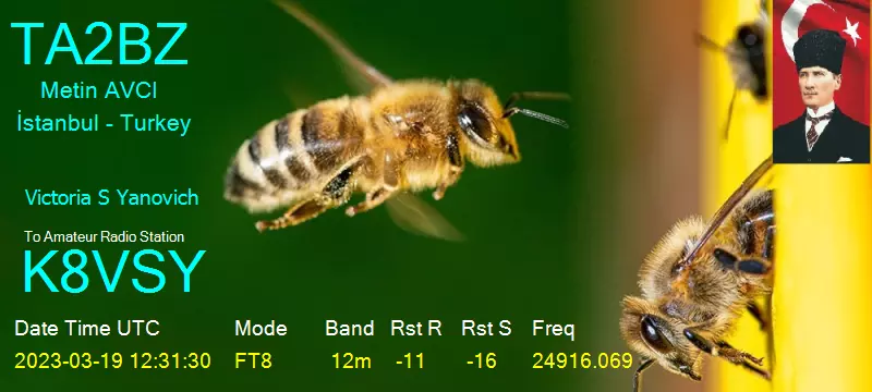 2023-03-19 TA2BZ 12m FT8 digital QSO card
